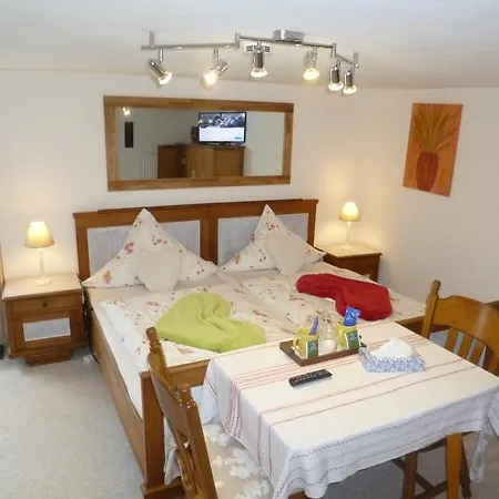 Haus Hanjopkes Guest house Winterberg