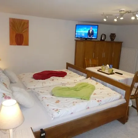 Haus Hanjopkes Guest house